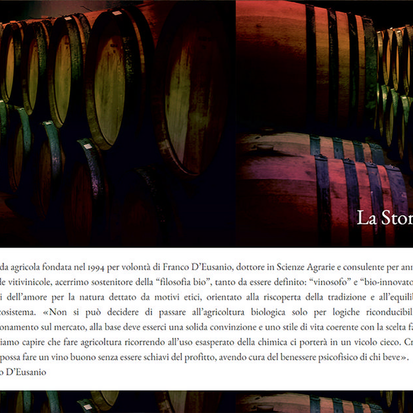 Chiusa Grande — progetto Contat — anteprima