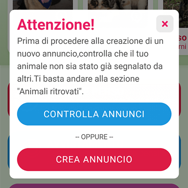 Lost and Found — app — progetto Contat — anteprima