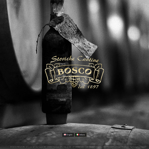 Nestore Bosco — progetto Contat