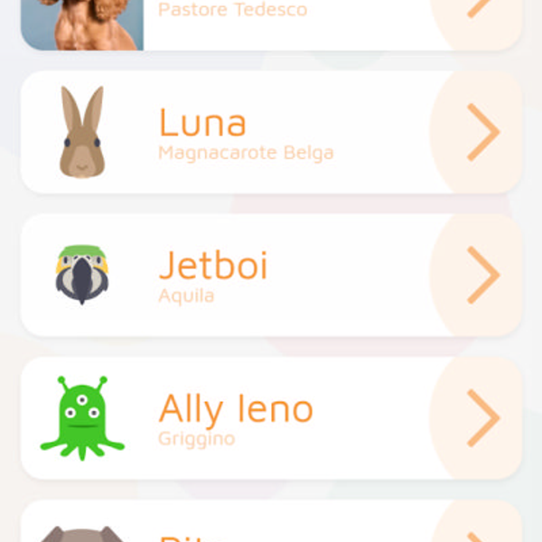 PitaLife — progetto Contat — anteprima