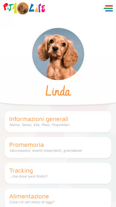 PitaLife — foto 4
