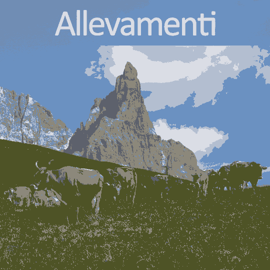 allevamenti