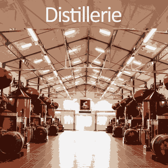 distillerie